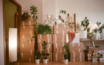 Can I Move With My Child After Divorce in Michigan? What the 100-Mile Rule Really Means
